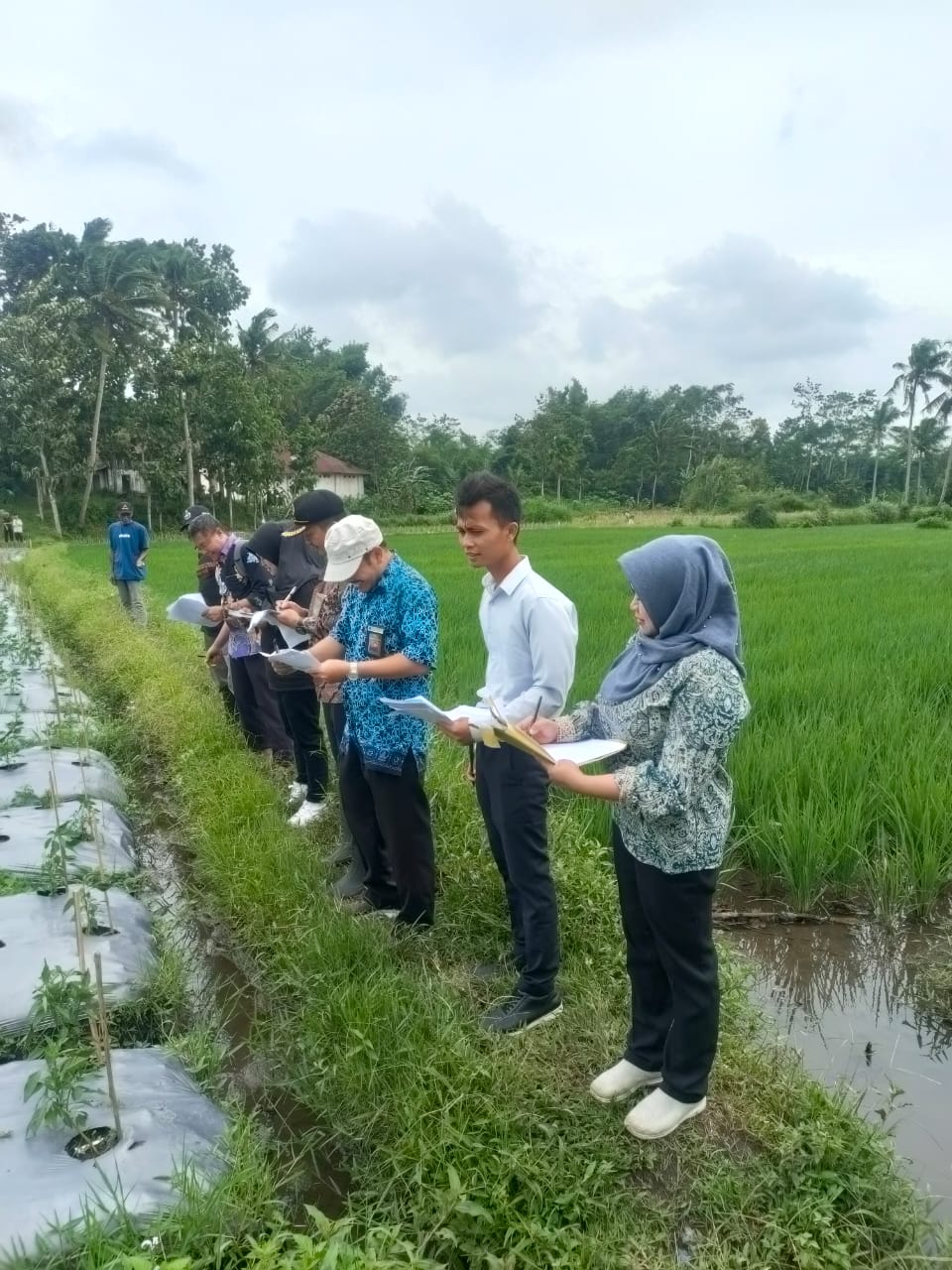 WhatsApp Image 2023-02-01 at 18.30.06