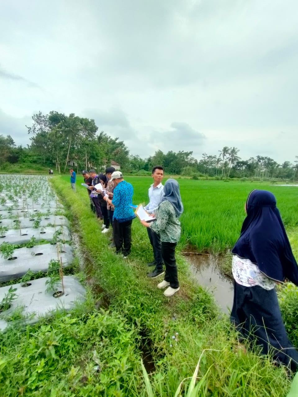 WhatsApp Image 2023-02-01 at 18.30.07