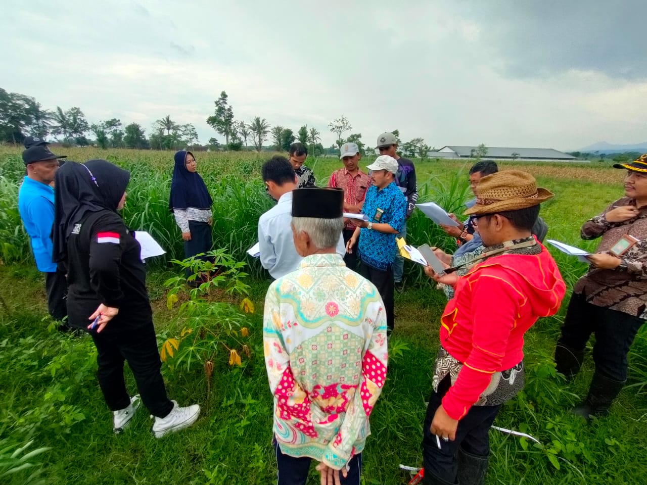 WhatsApp Image 2023-02-01 at 18.30.08