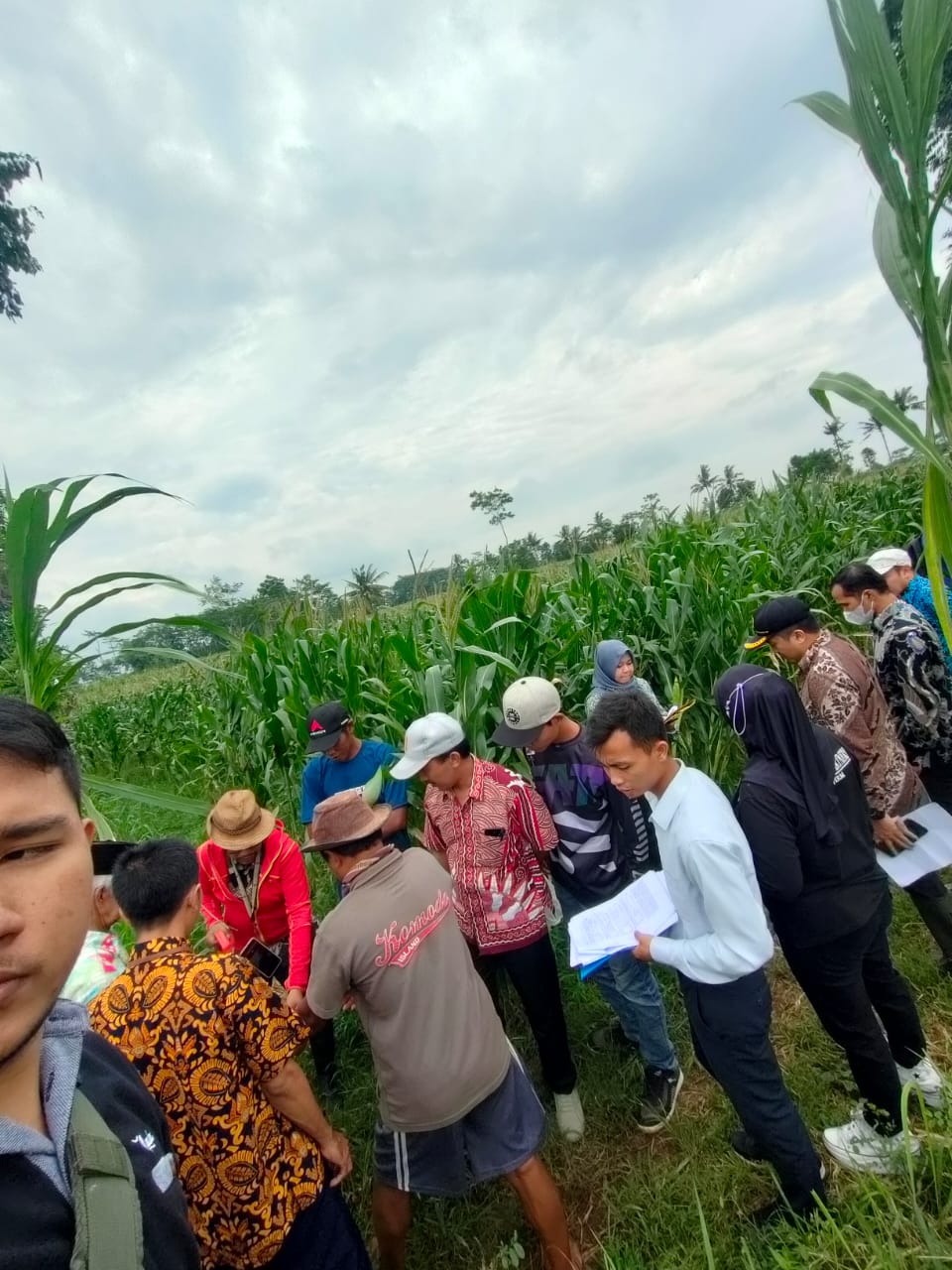 WhatsApp Image 2023-02-01 at 18.30.10