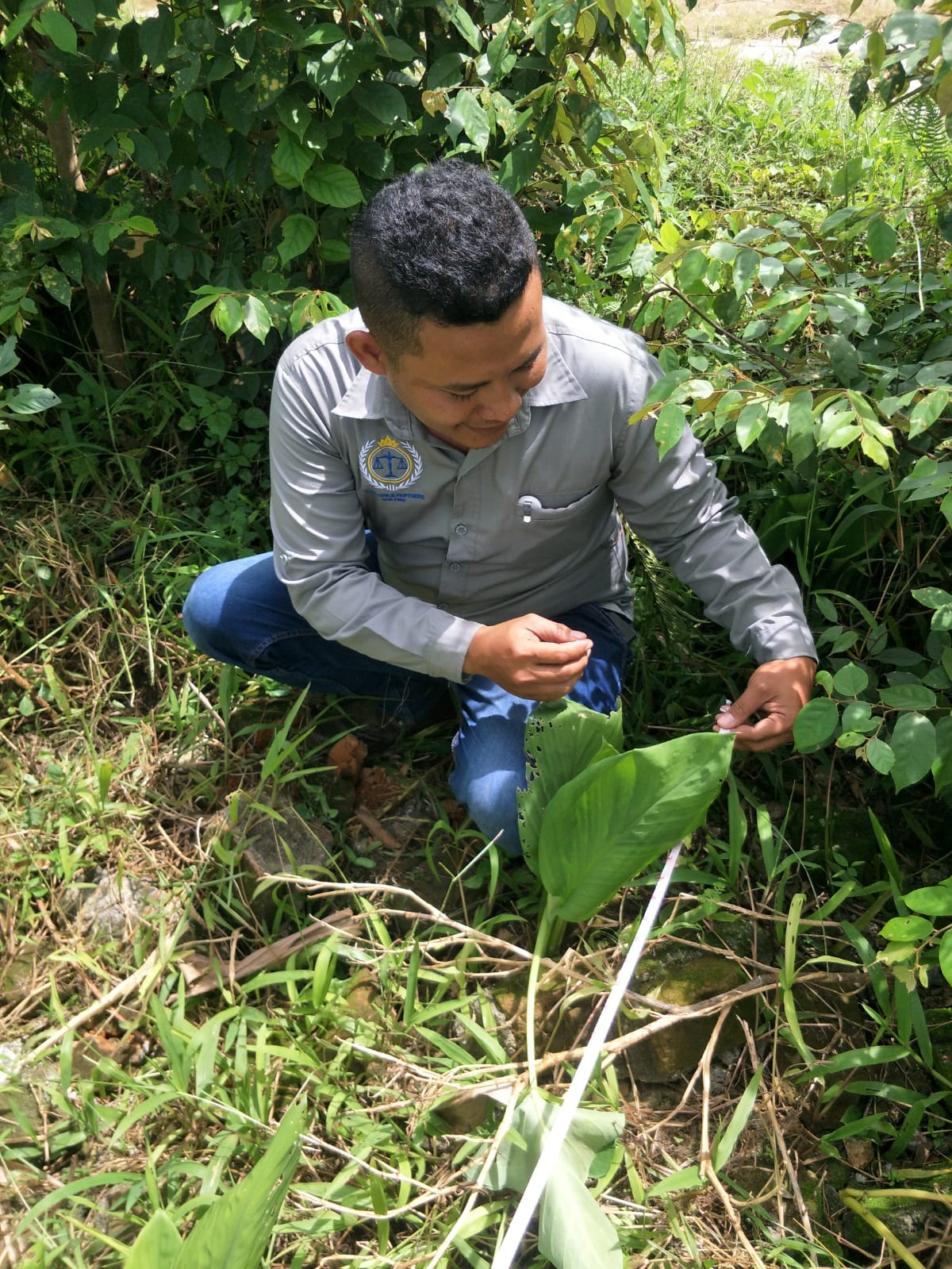 WhatsApp Image 2023-02-01 at 18.50.28